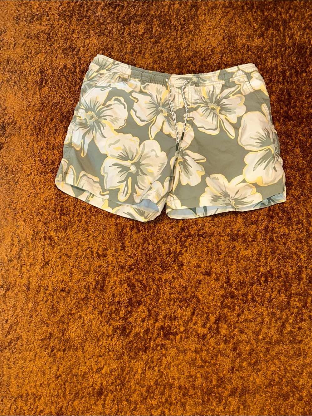 American Eagle Outfitters Sage Green Floral Swim Shorts